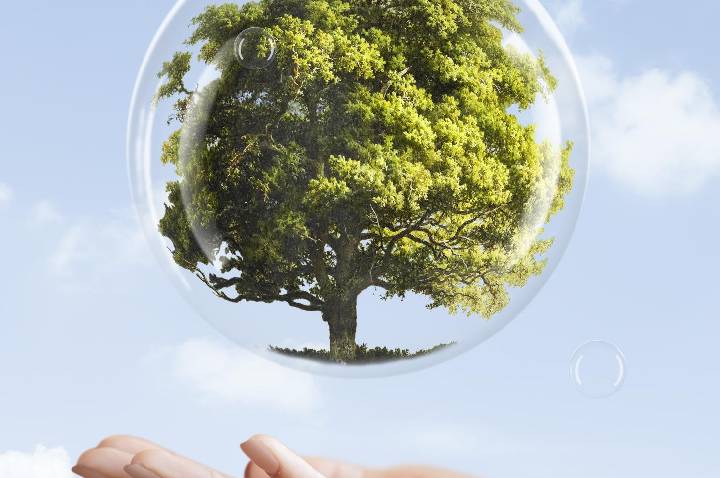 Área Continental de Santos recebe Conferência Livre ODS com foco em sustentabilidade ambiental