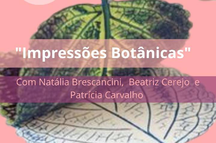 Arte, memória e natureza: fim de semana em Santos reúne experiências sensoriais e reflexivas gratuitas