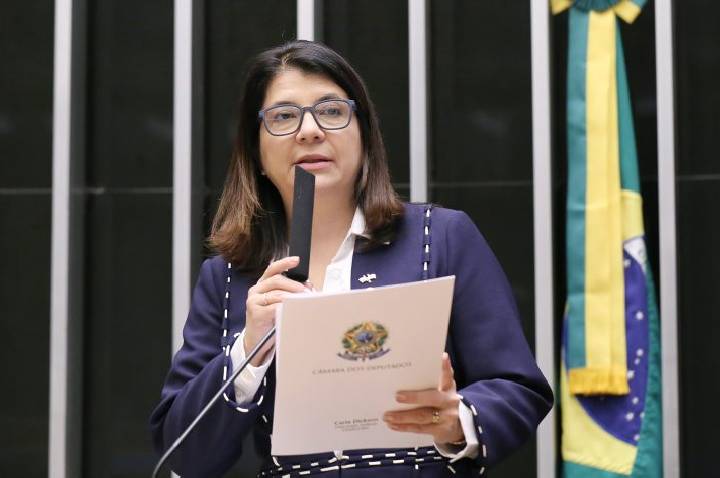 Comissão debate assistência consular e proteção de brasileiros no exterior