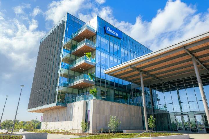 Elanco cresce 15% no 1º trimestre de 2026 e eleva projeções