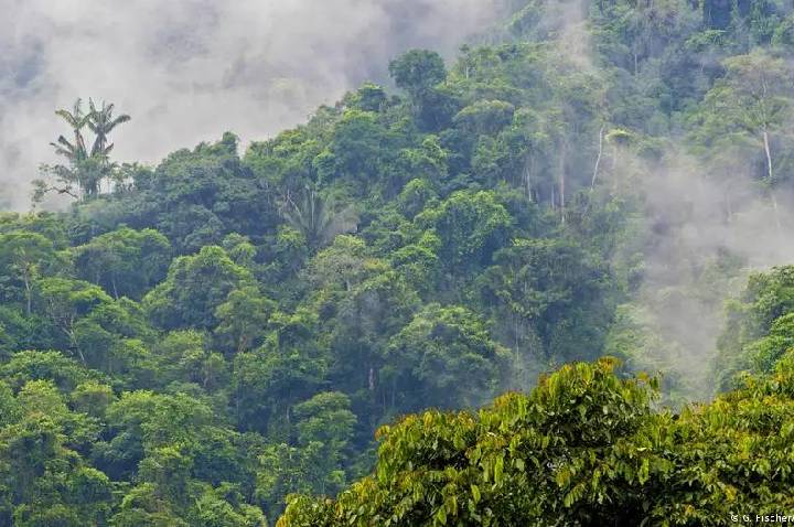 Equador inicia extração de petróleo com fracking na Amazônia