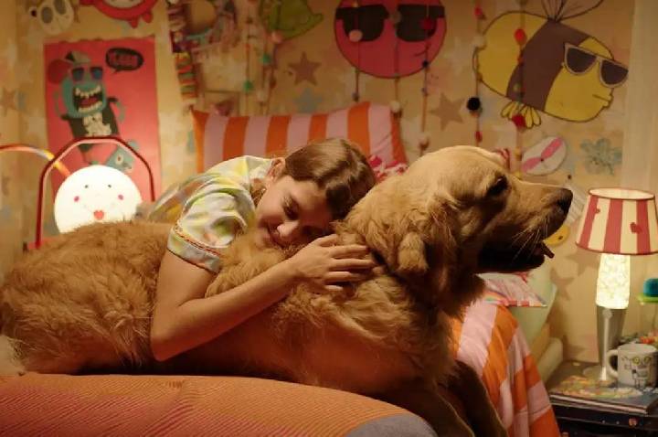 Festival de cinema BIFF 2026 divulga programação e selecionados