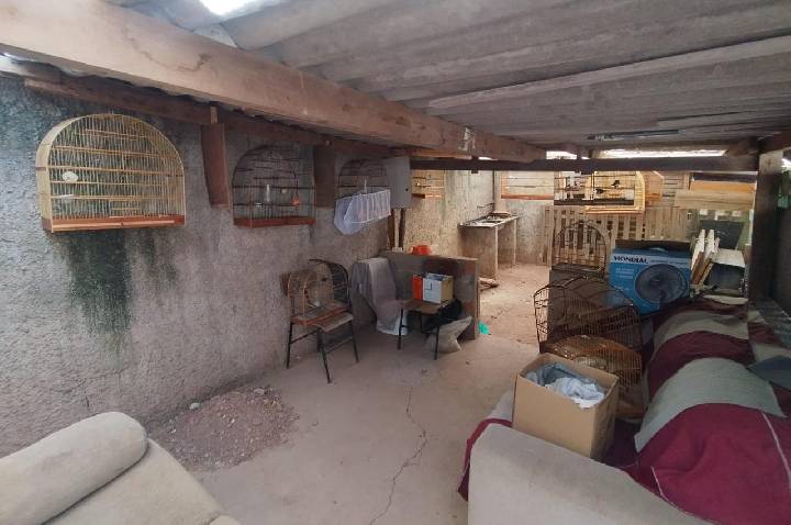 GCM Ambiental de São Bernardo flagra criação ilegal de aves silvestres e aplica multa de R$ 41 mil