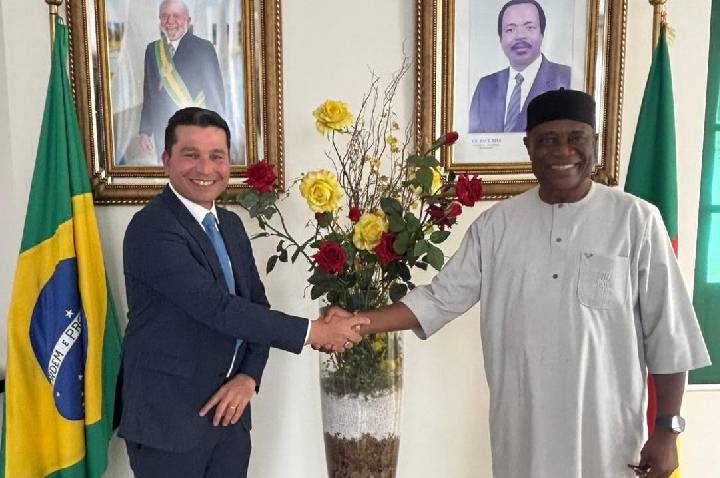 Produto brasileiro ganha apoio internacional contra malária