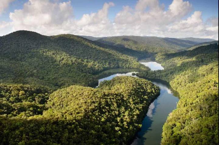 São Paulo registra queda de 29% no desmatamento da Mata Atlântica e alcança menor índice dos últimos anos
