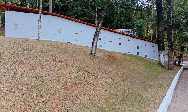 Setor funerário se adapta à despedida humanizada de pets