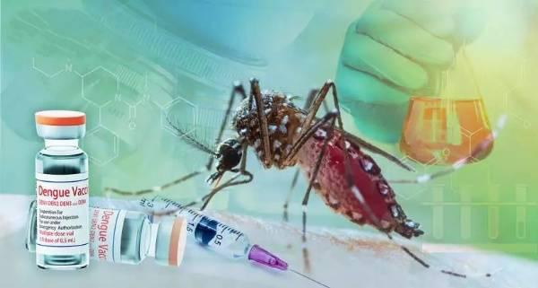 Apenas 23% dos adolescentes de São Paulo completaram a vacinação contra a dengue com a segunda dose