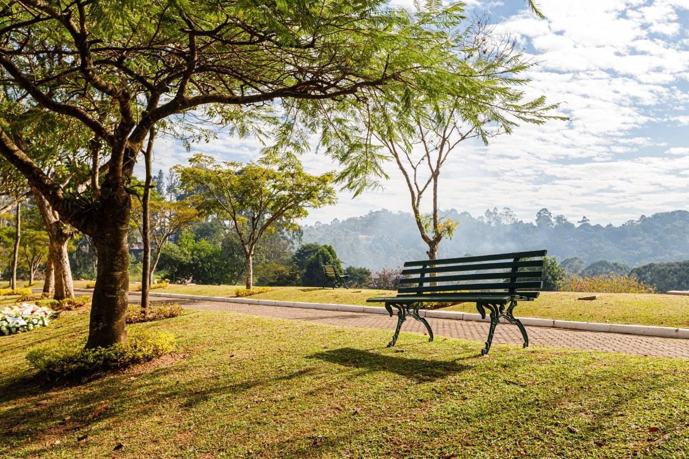 Caminhada pelo bem-estar é ação promovida pelo Grupo Memorial