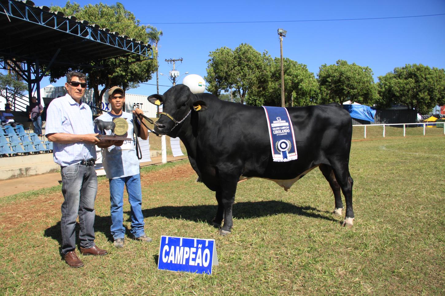 Exposição ranqueada de gado Girolando acontecerá no Camaru em Uberlândia