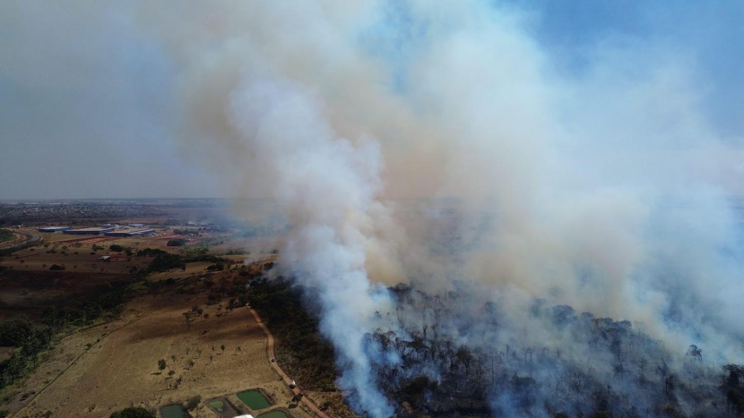 Incêndio atinge área de vegetação próximo a indústrias em Uberlândia