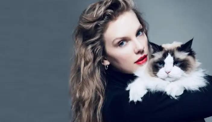 Taylor Swift anuncia apoio a Kamala Harris na corrida presidencial dos EUA