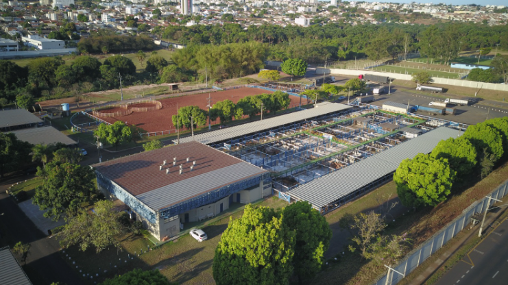 Leilão Gado de Corte Especial acontece no Parque de Exposições Camaru neste domingo