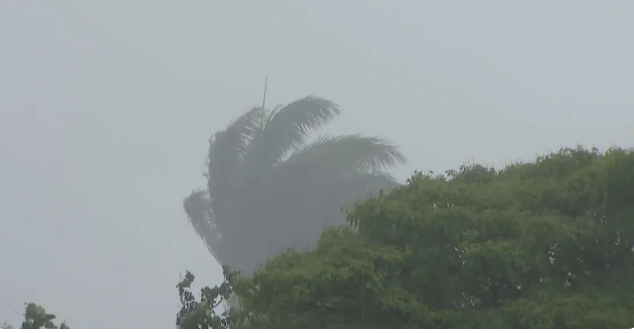Uberlândia terá plano para atenuar efeitos e adaptar a cidade às mudanças climáticas