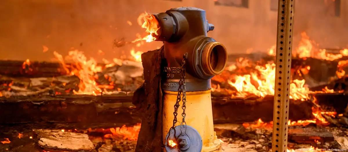 Gestão dos incêndios na Califórnia gera criticas e revolta