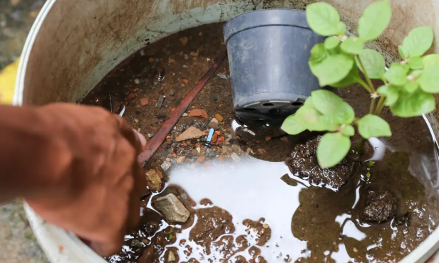 Pessoas com hipertensão e diabetes são as que mais morrem por dengue em Uberlândia