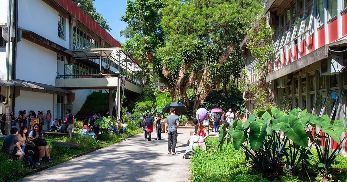 Nove cursos da USP estão entre os 50 melhores do mundo, mostra ranking internacional