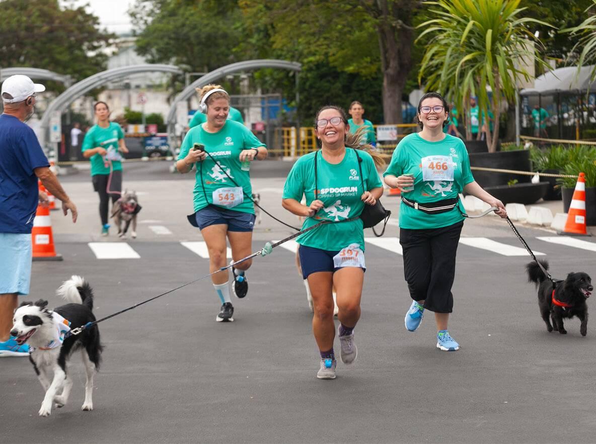 10ª edição da SP Dog Run acontece neste fim de semana no SP Market