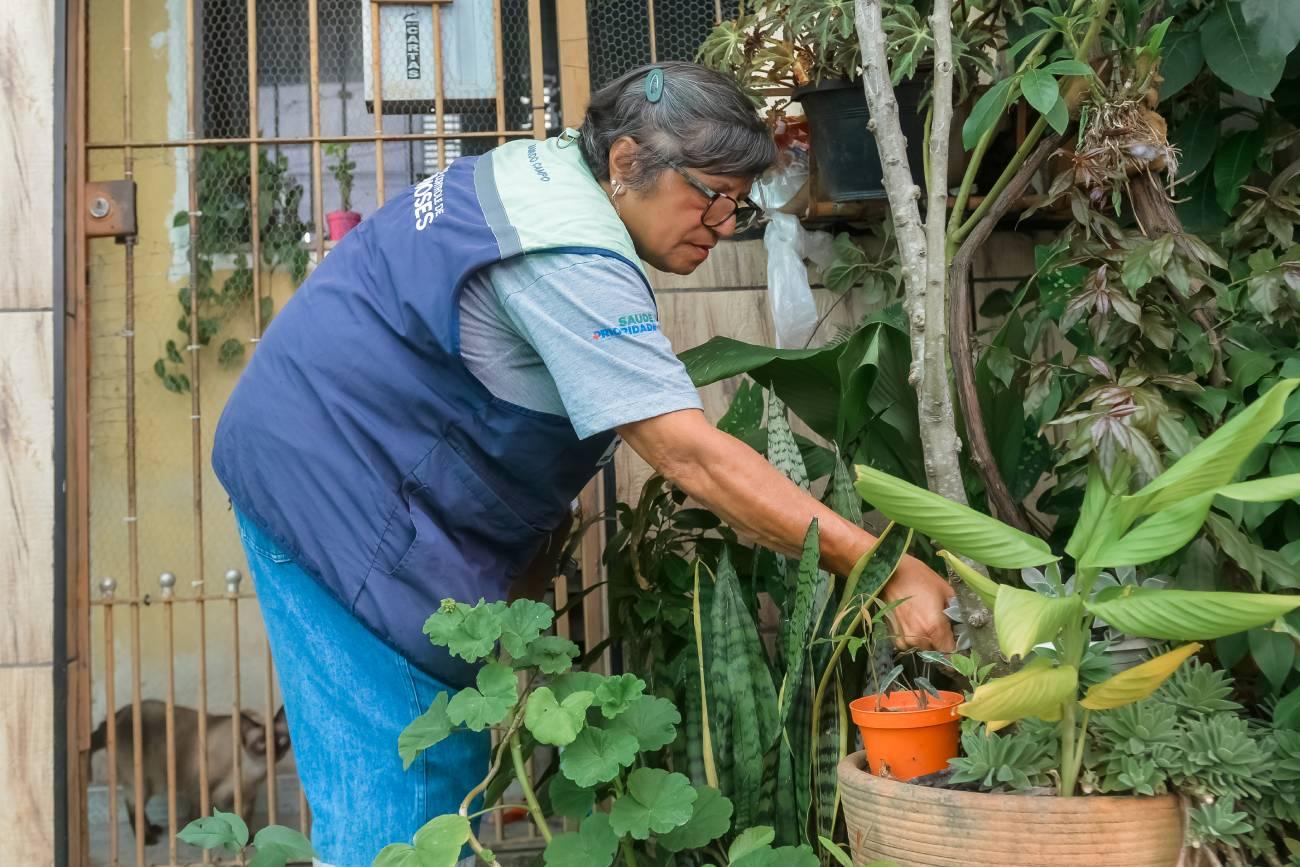 Casos de dengue caem 80% no 1º quadrimestre em São Bernardo na comparação com 2024