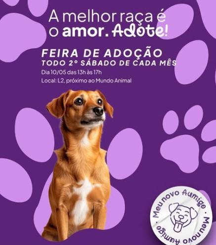 Feira ‘Meu Novo Aumigo’ incentiva adoção responsável e arrecada doações para animais resgatados