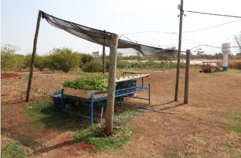 Ferub está com inscrições abertas para o 2º Minicurso sobre Cultivo de Plantas Medicinais e Aromáticas