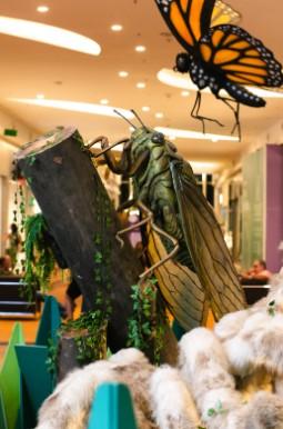 Uberlândia Shopping se transforma em palco de experiências divertidas para toda a família