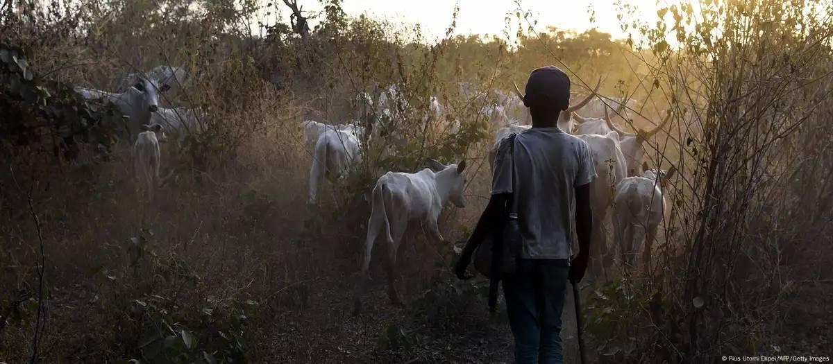 Massacre em Benue, na Nigéria, deixa ao menos 100 mortos