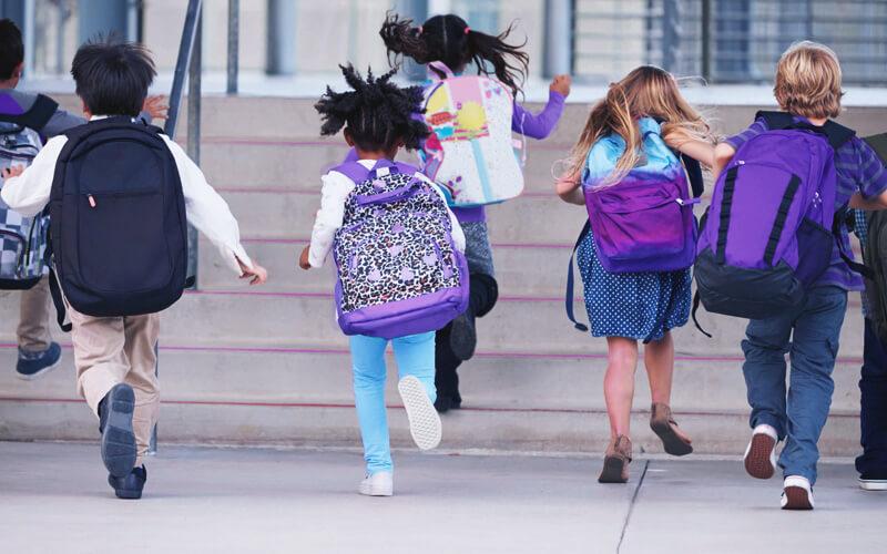 Fim das férias: mais de 3 milhões de estudantes da rede estadual de SP retornam às aulas nesta quarta-feira (23)