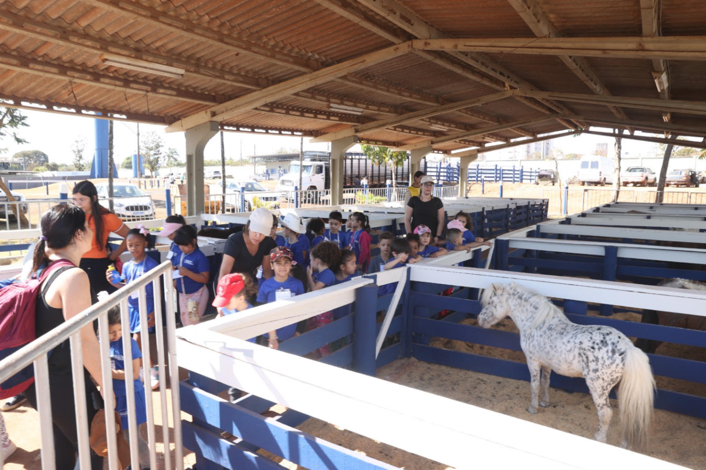 Prefeitura abre inscrições para visitas agendadas à Fazendinha Camaru 2025