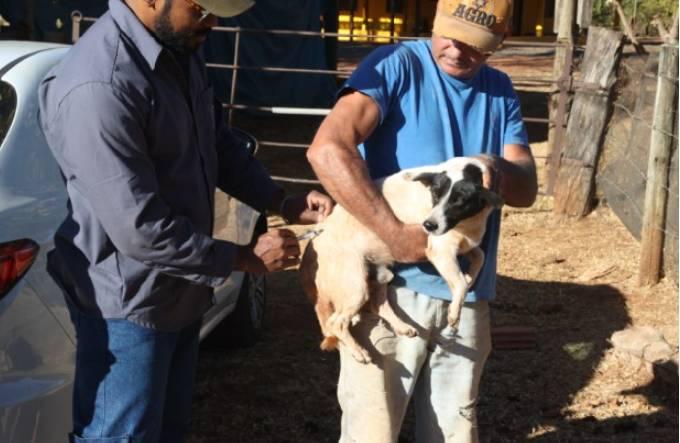 Prefeitura realiza Campanha de Vacinação Antirrábica a partir do dia 14 de julho