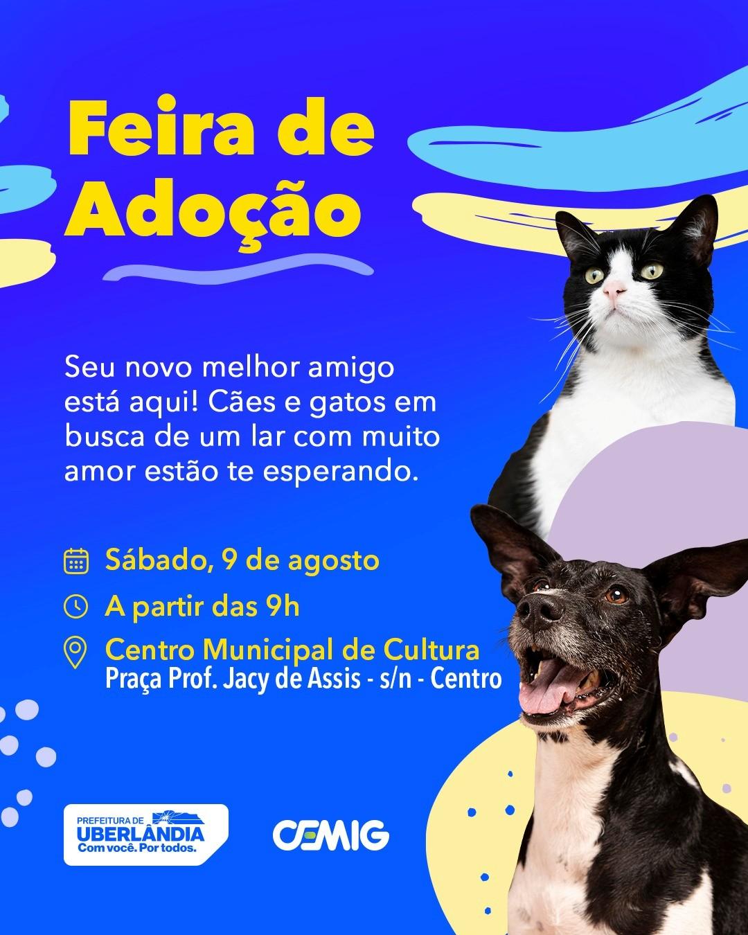 Prefeitura e Cemig promovem Feira de Adoção de Animais neste sábado (9)