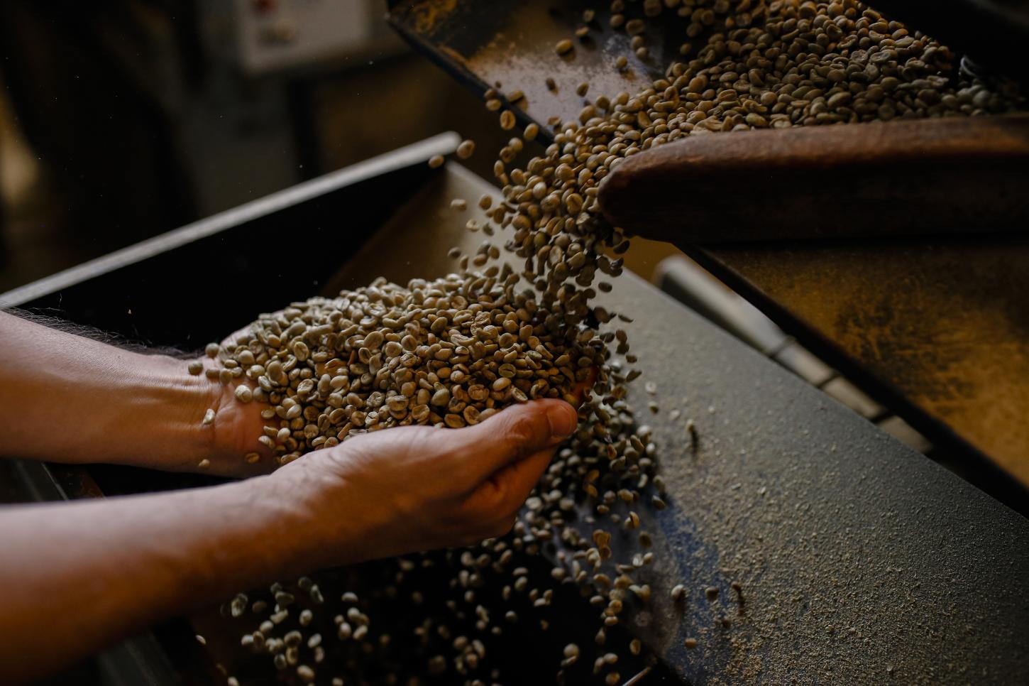 Região do Cerrado Mineiro realiza 1º Workshop de Torra com especialistas e campeões brasileiros
