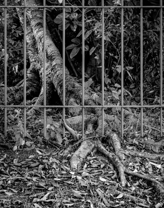 Shopping Center 3 recebe exposição fotográfica inspirada em cenários apocalípticos de séries de sucesso