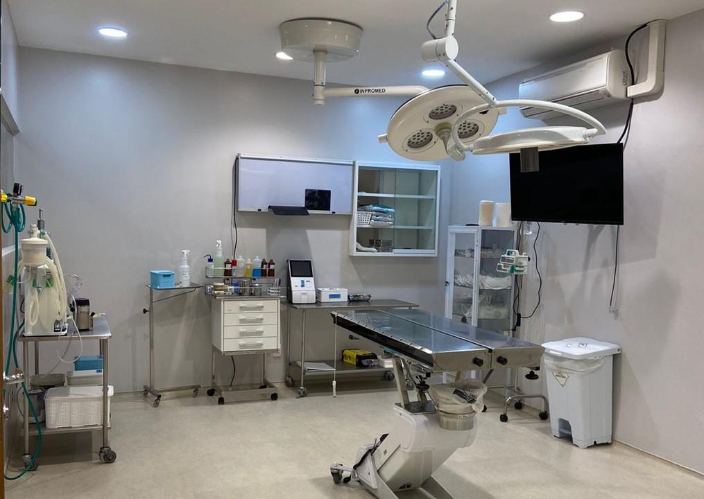 Centros Médicos Veterinários da São Judas oferecem serviços acessíveis à comunidade em quatro unidades