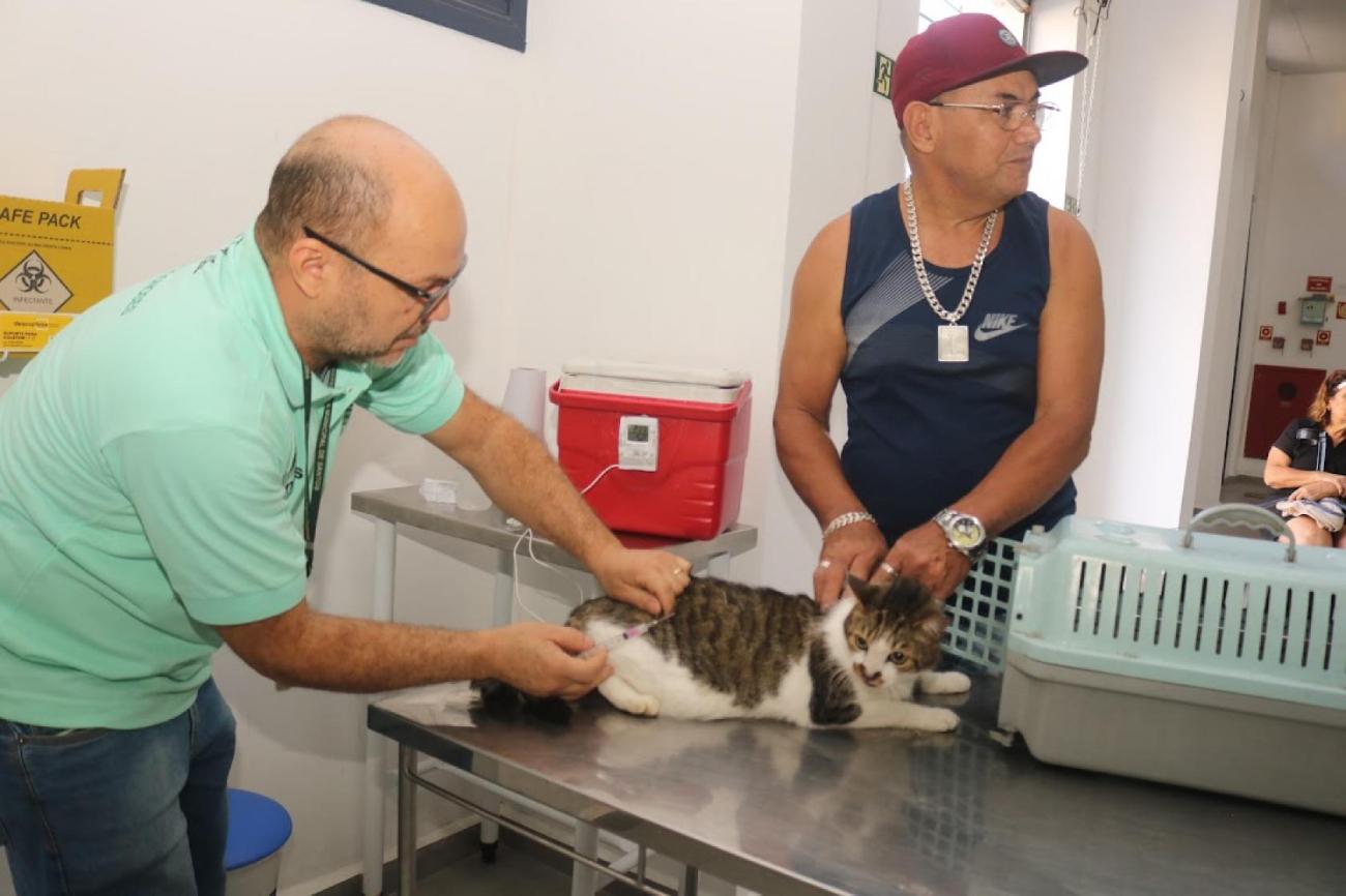 Mais 110 pets estão protegidos contra a raiva. Vacinação ocorre toda quarta em Santos