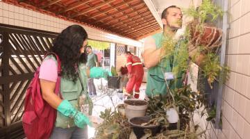 Mesmo com infestação em baixa, mutirão percorre e elimina focos na Zona Noroeste de Santos