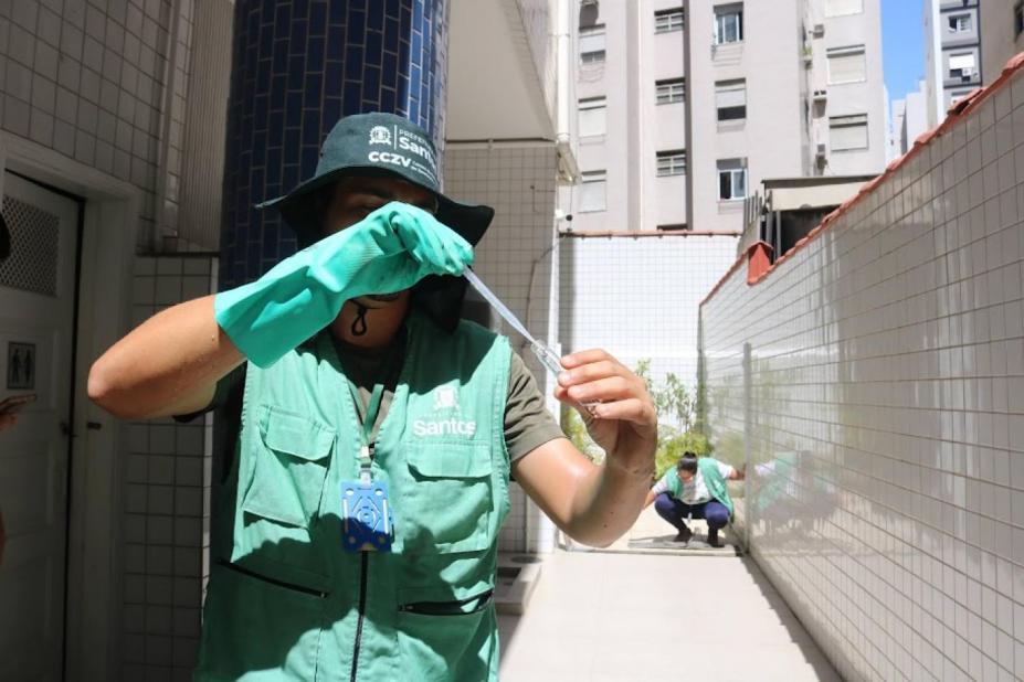 Santos inicia última avaliação da quantidade de larvas de Aedes em 2025