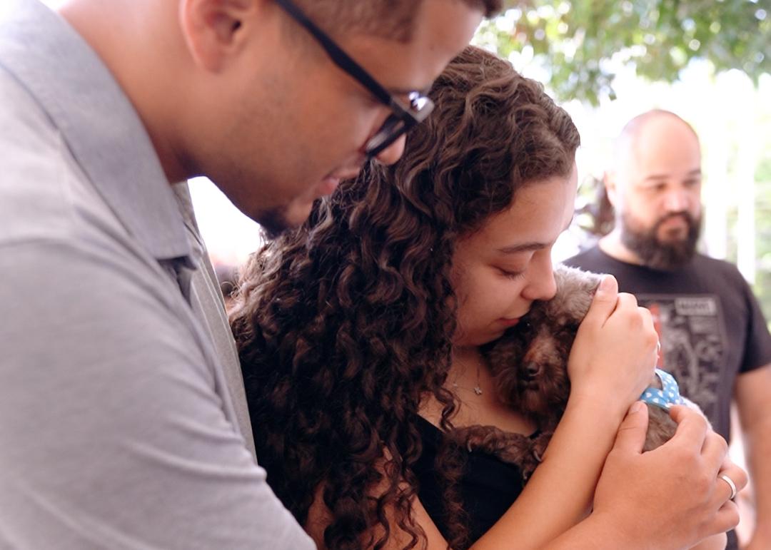 Shopping Metrópole promove Feira de Adoção Pet neste sábado