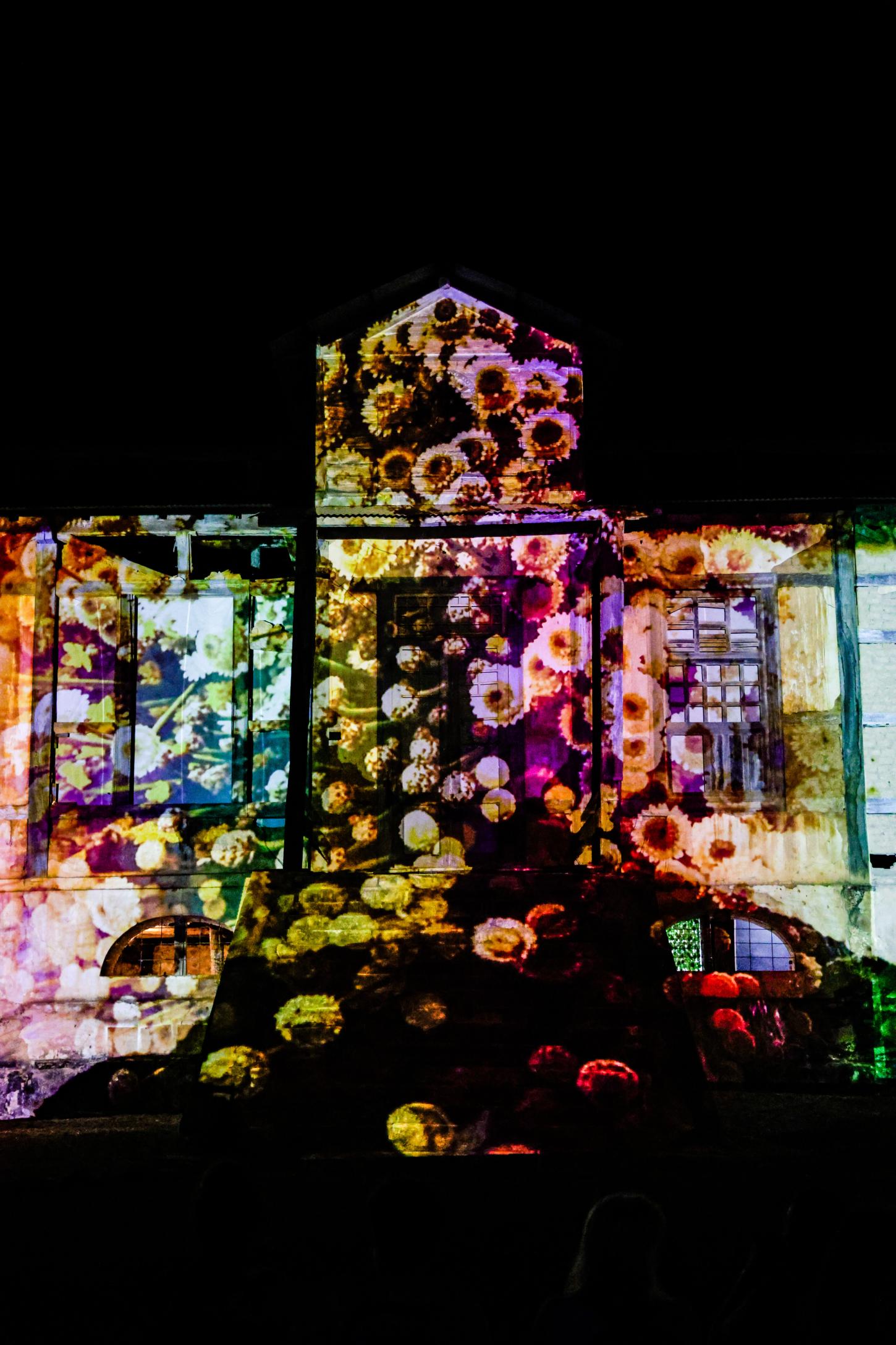 Uberlândia recebe Cerrado Mapping Festival com arte digital, consciência ambiental e experiências imersivas