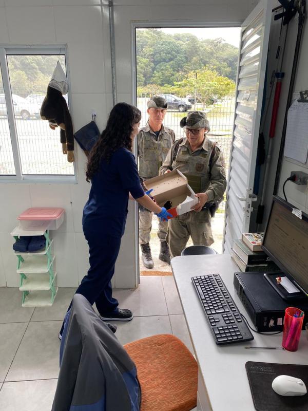 Guarda Ambiental de São Bernardo resgata coruja-do-mato ferida e realiza série de salvamentos de animais silvestres