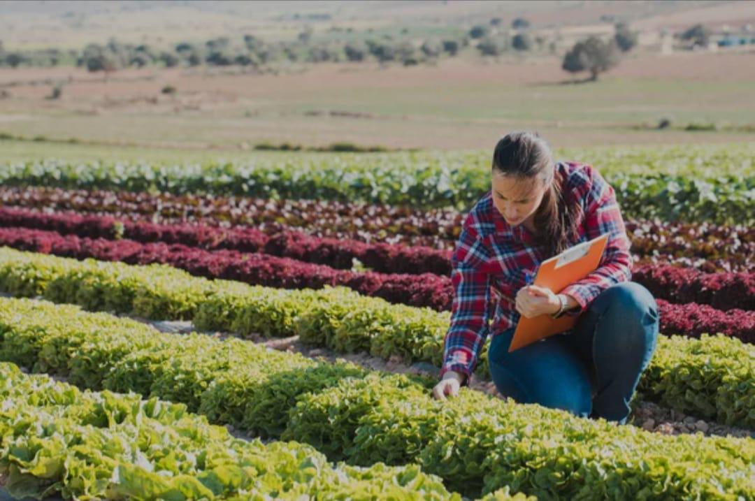 Reconhecimento da Justiça Federal consolida o papel das entidades representativas na defesa dos técnicos agrícolas e valoriza o trabalho das associações e sindicatos da categoria