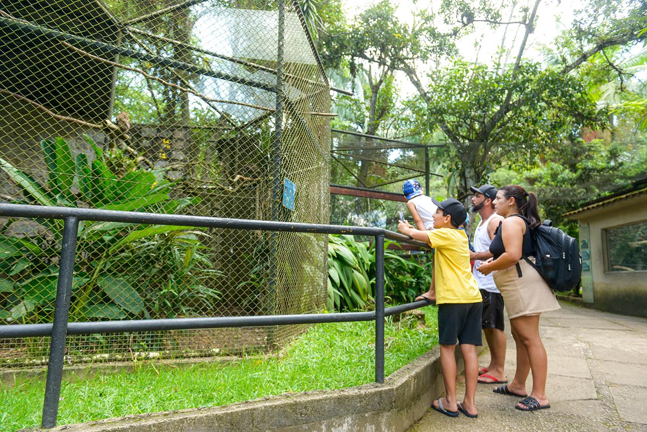 Zoo de São Bernardo completa 40 anos neste domingo sendo referência no tratamento de animais resgatados