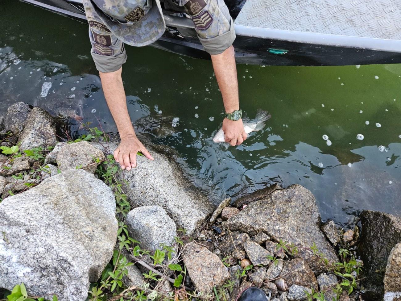 Durante Operação Defeso, GCM Ambiental de São Bernardo flagra pesca predatória e resgata 15 kg de peixes