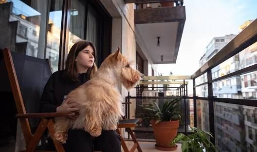 Santos sanciona lei que proíbe vetos a animais de estimação em condomínios; síndico profissional explica