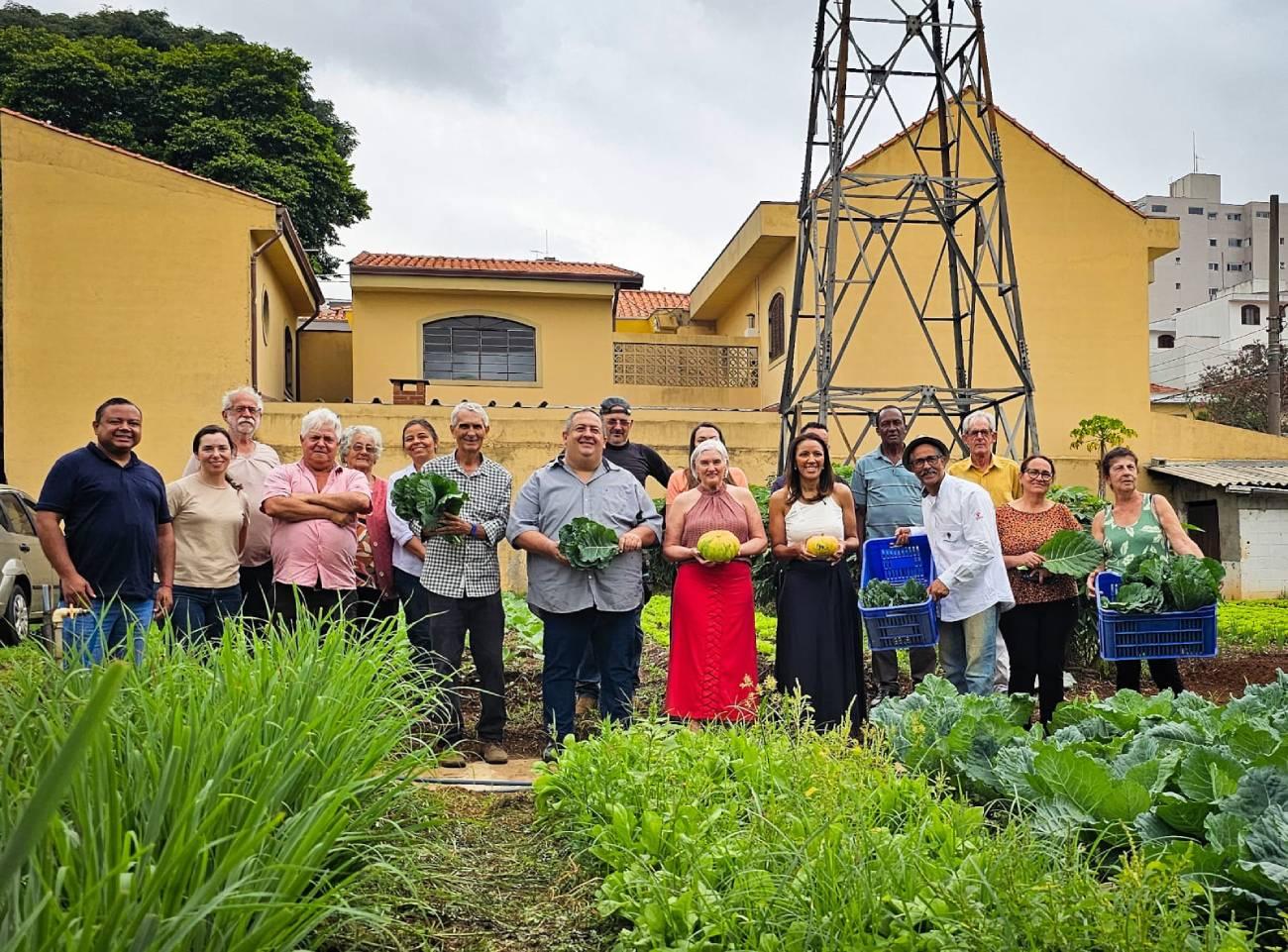Hortas comunitárias da Vila Vivaldi destinam 1,2 tonelada de produtos ao Banco de Alimentos