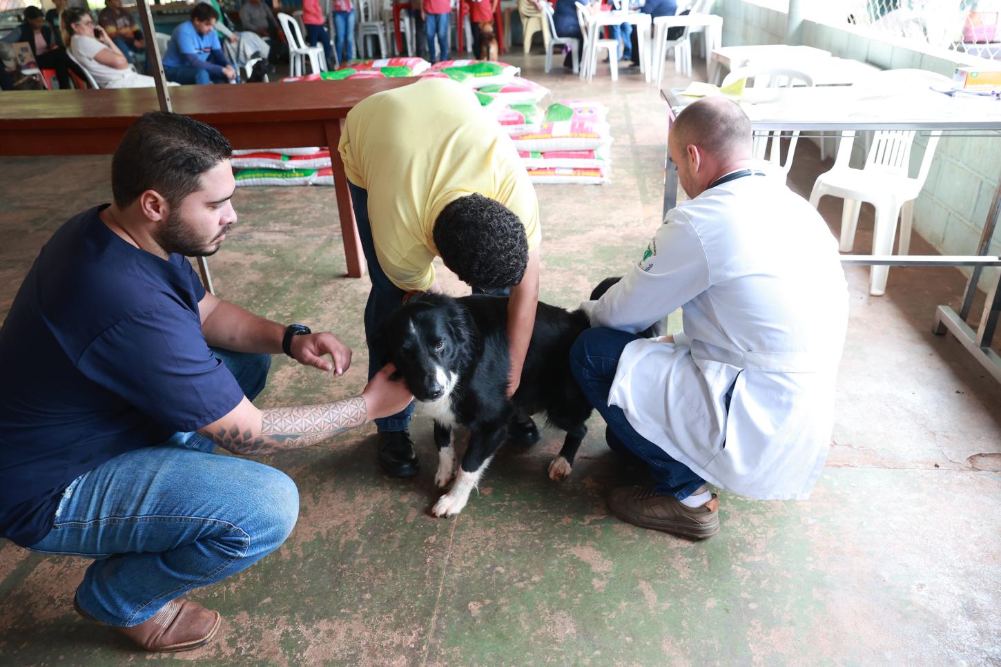 Prefeitura realiza primeiro dia de atendimentos do Castramóvel em Martinésia e segue com ações nesta terça (10)