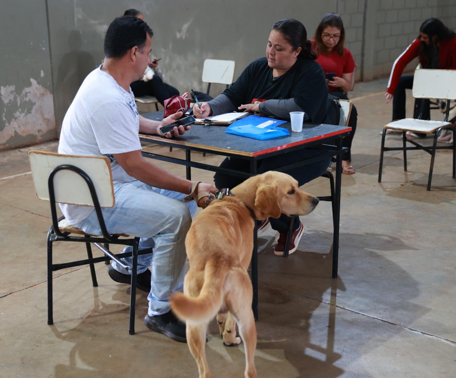 Prefeitura realiza quase 100 castrações e microchipagens de cães e gatos pelo Castramóvel em Cruzeiro dos Peixotos