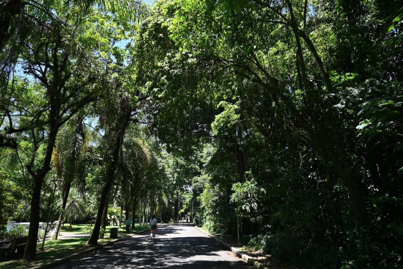 Santistas e turistas podem participar de walking tour na Zona Noroeste