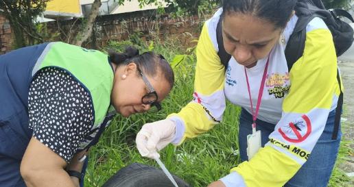 Semana de mobilização contra a dengue intensifica combate à doença em São Bernardo