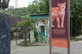 Zoo de São Bernardo inicia o ano com acolhimento de 80 animais e reforça papel como unidade de conservação e cuidado especializado