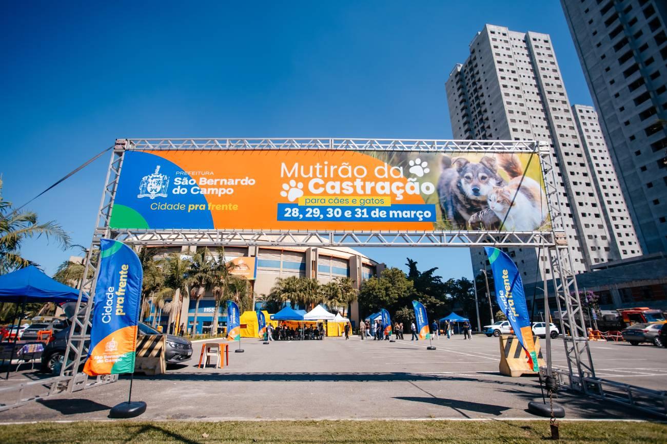 Prefeitura de São Bernardo inicia mutirão de castração gratuita de cães e gatos neste sábado